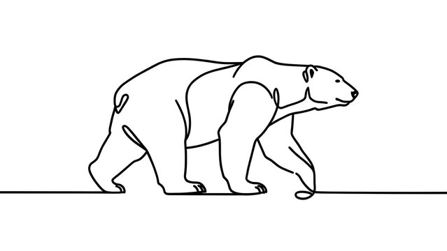 Minimalist polar bear line art white background.