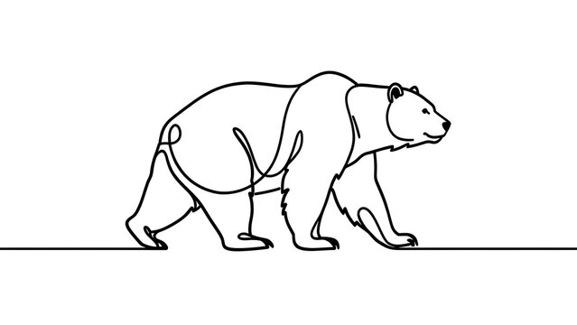 Minimalist bear line art illustration white background.