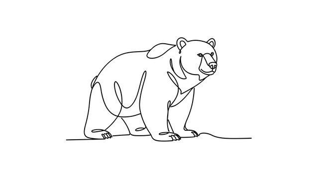 Minimalist bear illustration on white background.