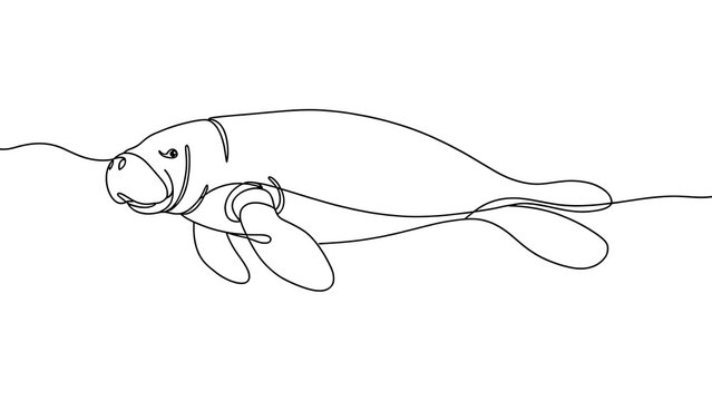 Minimalist manatee line drawing white background.