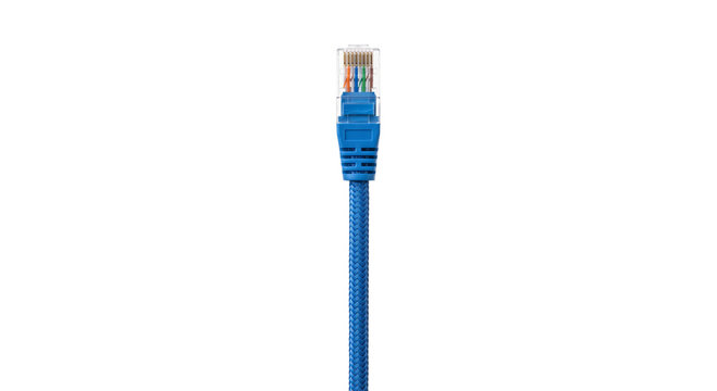 Close-up of a blue braided Ethernet cable with a clear RJ45 connector