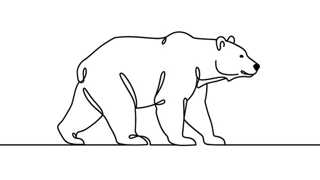Minimalist bear line art illustration white background.