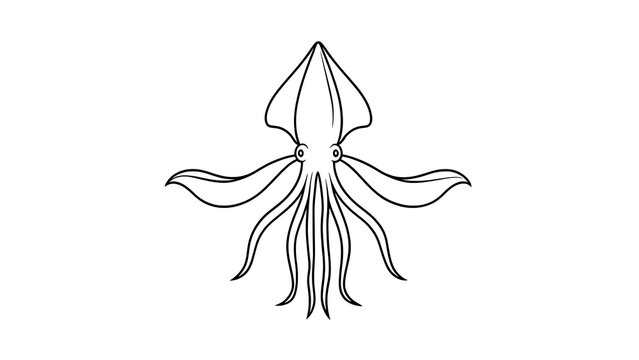 Minimalist squid illustration on white background.