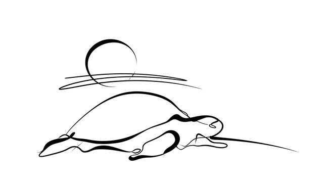 Minimalist turtle line art on white background.