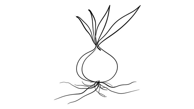 Onion plant illustration on white background.