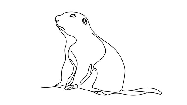 Sitting prairie dog sketch white background.