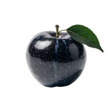 Apple Leaf