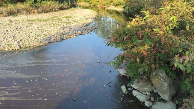Severe Drought Impact on Landscape, Agogna River, Italy