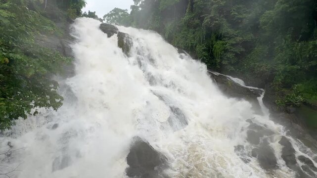 Athirappilly Waterfalls Niagara of India  Kerala largest waterfall. Flooding river in lush rainforests of the Western Ghats. Tropical  Athirapally Vazhachal  Charpa Falls, Indian