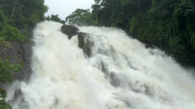 Athirappilly Waterfalls Niagara of India  Kerala largest waterfall. Flooding river in lush rainforests of the Western Ghats. Tropical  Athirapally Vazhachal  Charpa Falls, Indian