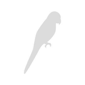 Parrot bird silhouette profile icon over transparent background