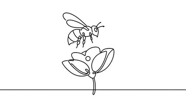 Bee and flower line art illustration white background.