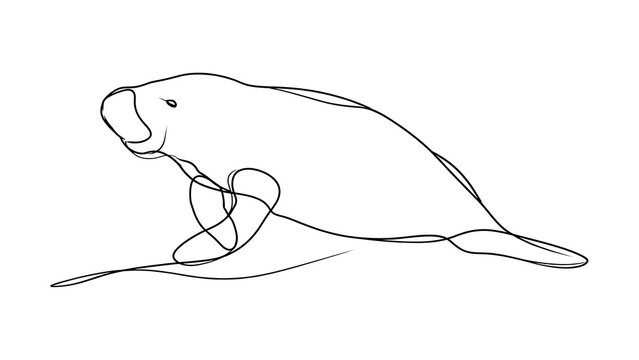 Manatee illustration on white background.
