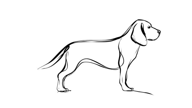 Minimalist line art dog illustration white background.