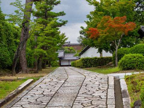 ​初夏の京都・智積院の境内へと続く情緒あふれる石畳の参道。青もみじと青々とした木々に包まれた静かな寺院の小道と伝統建築