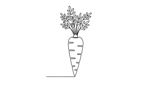 Illustration of a carrot on white background.