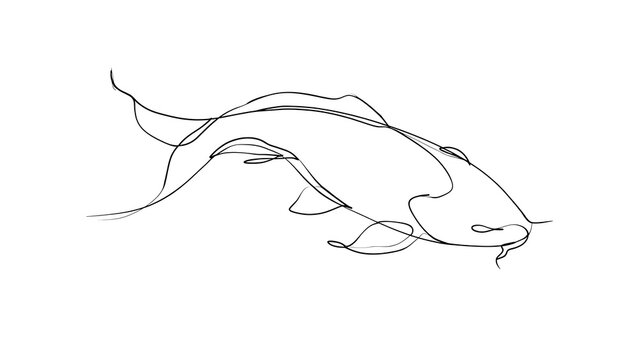 Minimalist koi fish line art drawing white background.