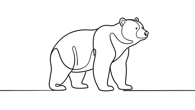 Minimalist bear illustration on white background.