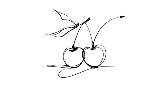 Two cherries with stems and leaf white background.