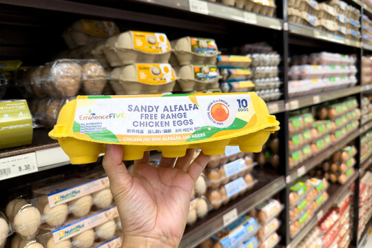 PENANG, MALAYSIA - JUL 03, 2026: Hand holding Sandy Alfa free range chicken eggs inside supermarket grocery section.