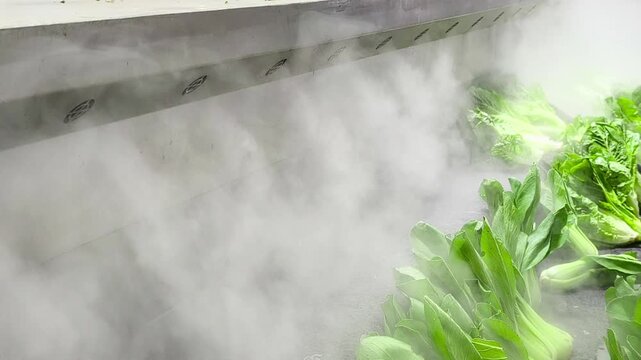 Fresh produce misting system sprays mist over leafy green pak choi vegetables in supermarket display.  Video 4k 60fps.