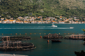 Floating fish farm cages with the historic waterfront of Perast across Kotor Bay. Summer Adriatic scenery combining aquaculture and coastal architecture © Ekaterina