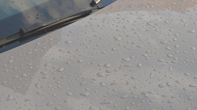 Raindrops beading on the waxed surface of a grey car hood. Windshield wipers are activated, cleaning the glass from the rain