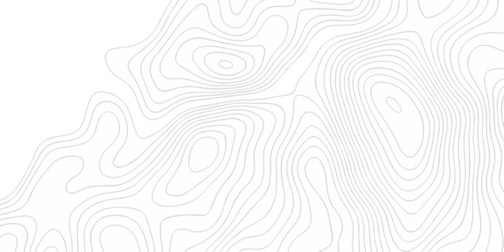 Abstract topography pattern seamless lines sea map modern design white background. Abstract digital topographic contour map concept space geometric strip grid line. Natural discovery of maps.