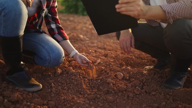 Agricultural team assessing soil conditions and document field observations during routine quality inspection. Quality assurance, sustainable farming, crop production, operational management concept