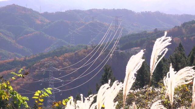 送電線と鉄塔とススキ