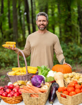 Greengrocer harvesting corn. Autumn vegetable harvest. Agriculture crop harvesting. Farmer food market. Man farmer with maize vegetable harvest. Organic maize farming. Greengrocer man outdoor