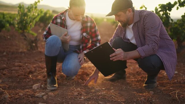 Agricultural professionals discussing soil conditions,comparing field records routine inspection. Strategic decision making, sustainable farming, operational planning,agricultural management concept