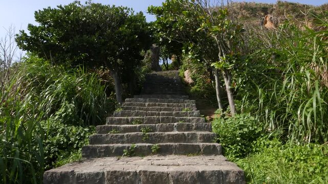 Impressive staircase from black stones rising up hill at Yeh-Liou cape. Green trees on top, camera slowly ascend by steps. Sunny and windy weather. Yehliu Geopark, cape north coast of Taiwan