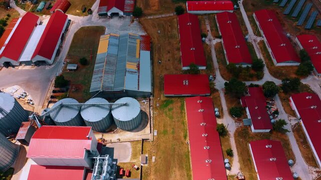 High angle aerial view of farm roofs and metal grain silos. Large cylindrical steel tanks sit adjacent to long red buildings in an agricultural facility.