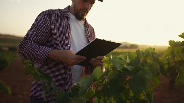 Professional agronomist monitoring crop growth while reviewing field documentation during a routine inspection. Sustainable crop production, responsible farming and agricultural development concept.