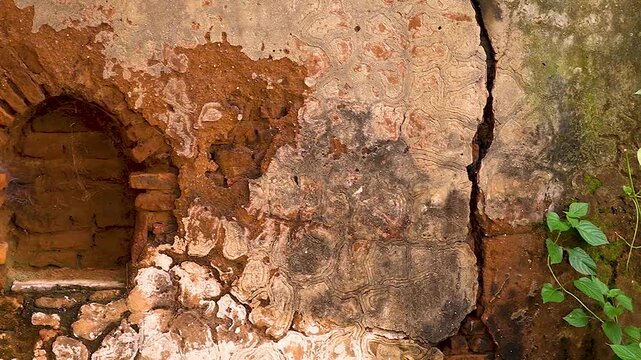 A close-up view of a red brick wall turning green. An ancient building weathered by the passage of time. 4K video