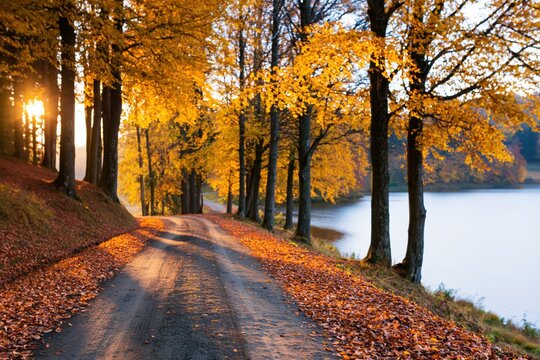 Autumn scenic road with golden trees by a calm lake during a beautiful fall sunset
