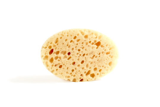 There is one dishwashing sponge lying on a white background.