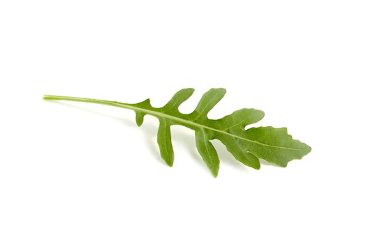 Arugula leaves lie on a white background.