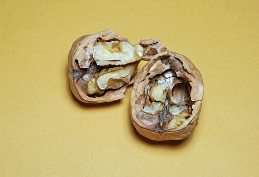 a walnut in the halves