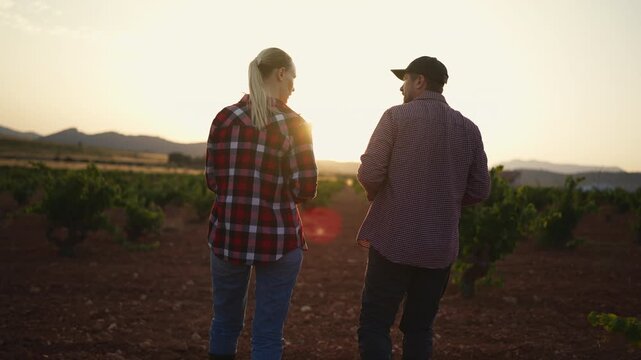 Male and female agronomists assessing field condition while planning future agricultural activities.Agricultural development,sustainable farming,innovation,teamwork,responsible farm management concept