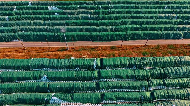Top down view of green covered storage rows and road. Parallel rows of wrapped materials line asphalt path under bright sunlight.