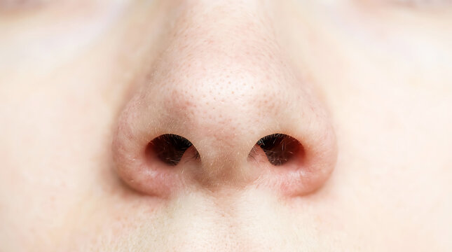 Close-up of human nose with visible nostrils skin