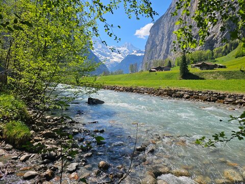 river in the forest of lauterbrunnen, swiss