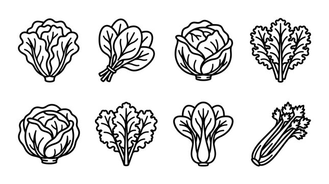 Leafy Greens and Vegetable Line Art Icon Set for Healthy Design
