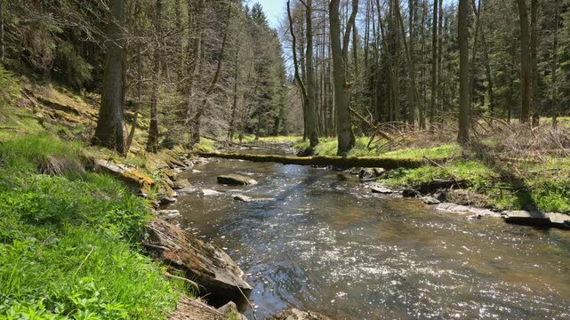 relaxing view on a flowing creek with nature sounds