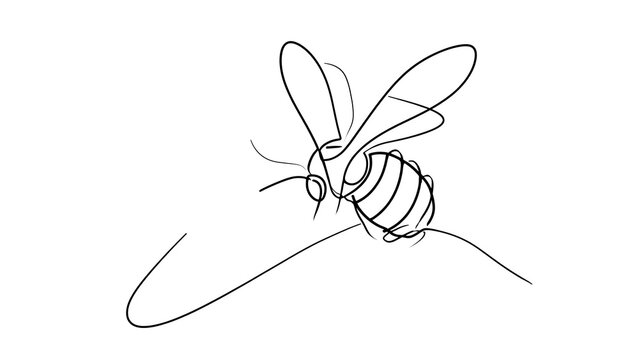 Hand drawn bee sketch on white background.