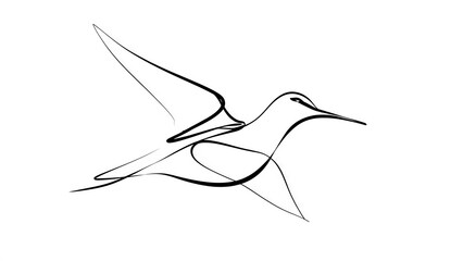 Obraz premium Minimalist bird drawing on white background.