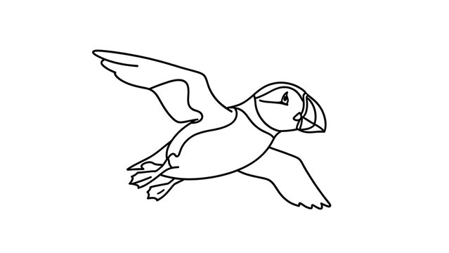 puffin bird flying illustration white background.