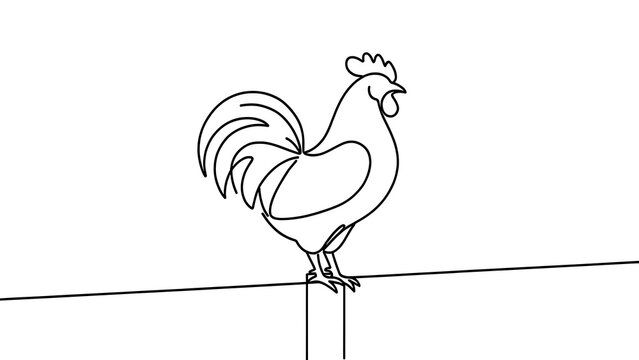 Rooster line art on wire white background.
